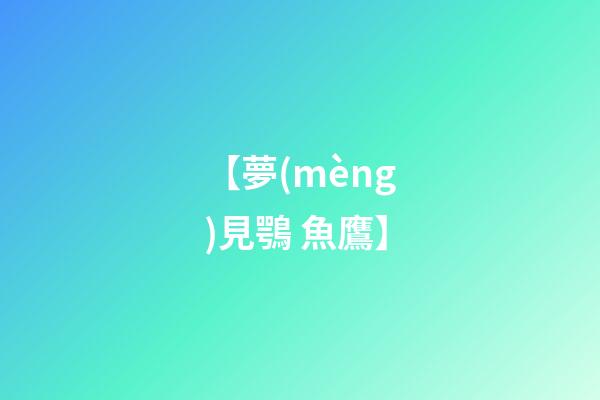 【夢(mèng)見鶚 魚鷹】